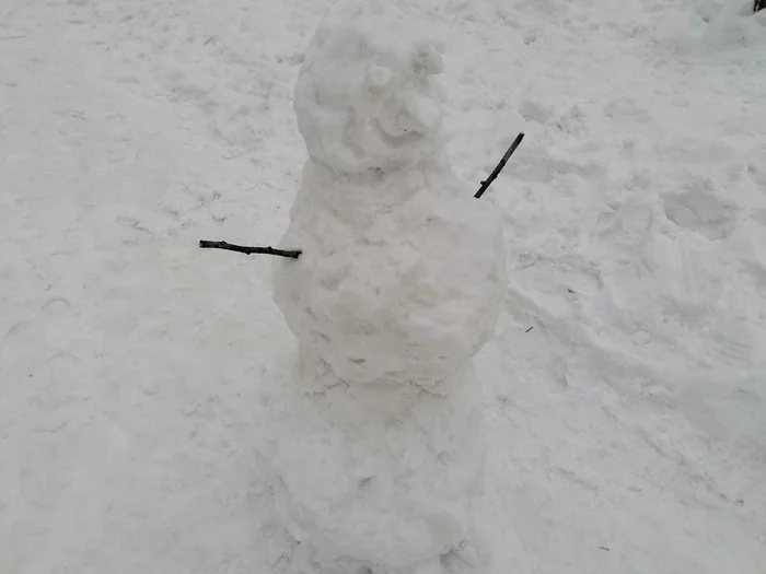 Time of the Snowmen - My, Novosibirsk, Snow figures, , snowman, The photo