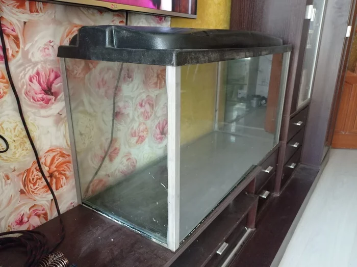 I will give the aquarium - My, Is free, I will give, No rating, Aquarium, Samara, Longpost, 