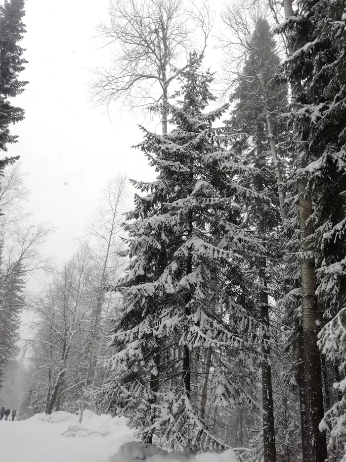 Снежные столбы - Моё, Красноярск, Красноярские столбы, Мобильная фотография