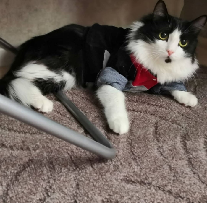 ��� �� ����� ����� ������...