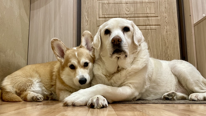 �� ����� ������, �� ��-���� �� ������