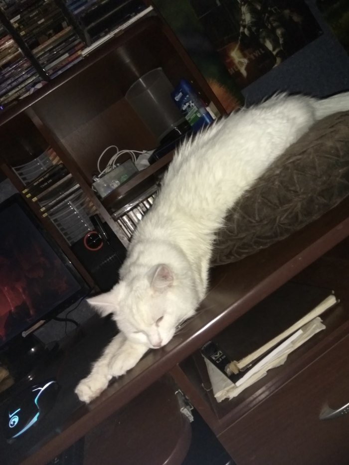 ��� ������ �������� ����� �������