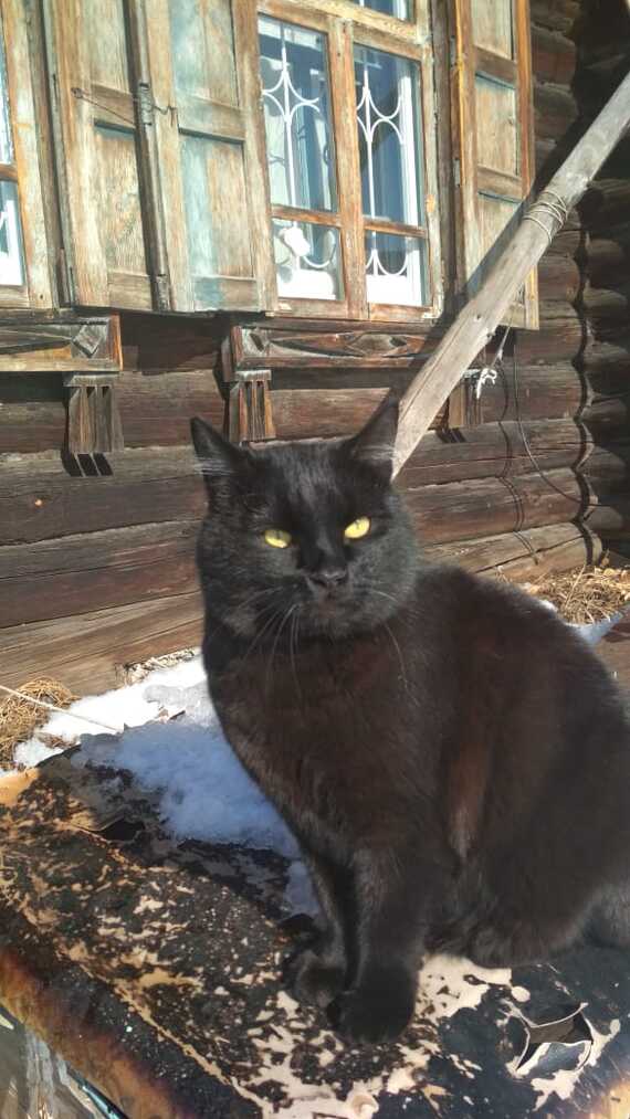 ����� ��� ���������� (��������� ����)