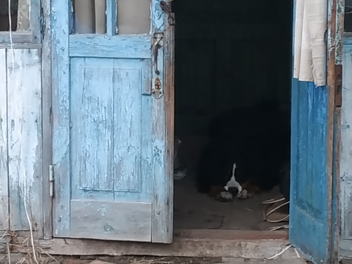 ����������� ����� ���������