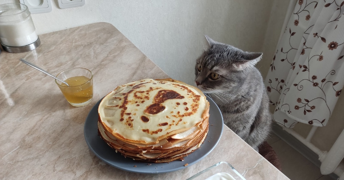 Кот с блинами. Довольный кот с блинами. Котик с блинчиками. Кот из блинчиков.