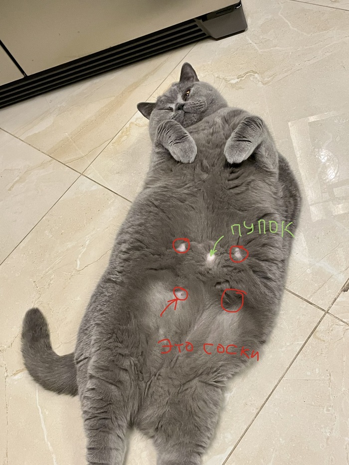 ����, �� ��� � ��� �� ������� ���������?