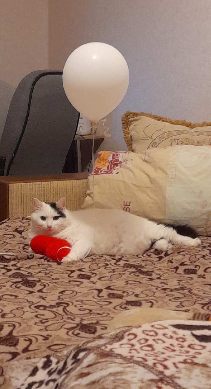 Филя поздравляет всех дам с 8 марта!