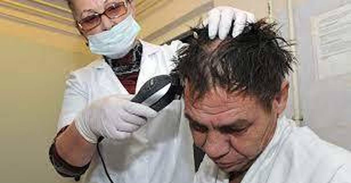Приемное отделение педикулез. Стрижка волос в больнице. Бритьё и стрижка пациентов.
