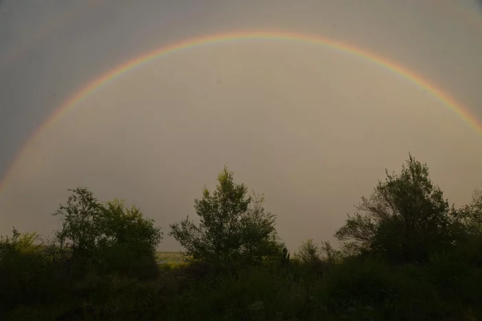 How I want summer... - My, Positive, A wave of posts, Double Rainbow, Rainbow, Thunderstorm, Weather, Rain, The photo, Mobile photography, Nature, Summer, Campground, 