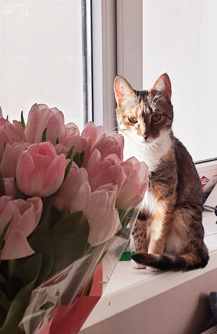 8-мартовское