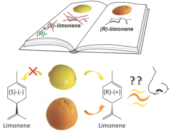 Myths about chirality, or What lemon smells like - The science, Research, Lemon, Scientists, Molecule, Smell, Longpost, 