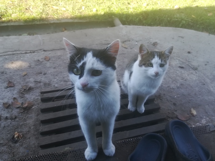 ����� �� ���� ��� ���� ���� ������� �� ������