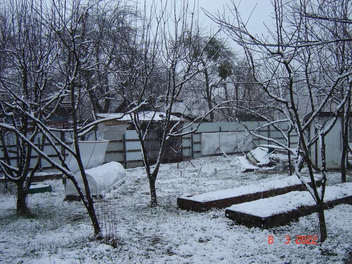 Spring in the Krasnodar Territory - My, Cucumbers, Tomatoes, Underground greenhouse, Краснодарский Край, Longpost, 