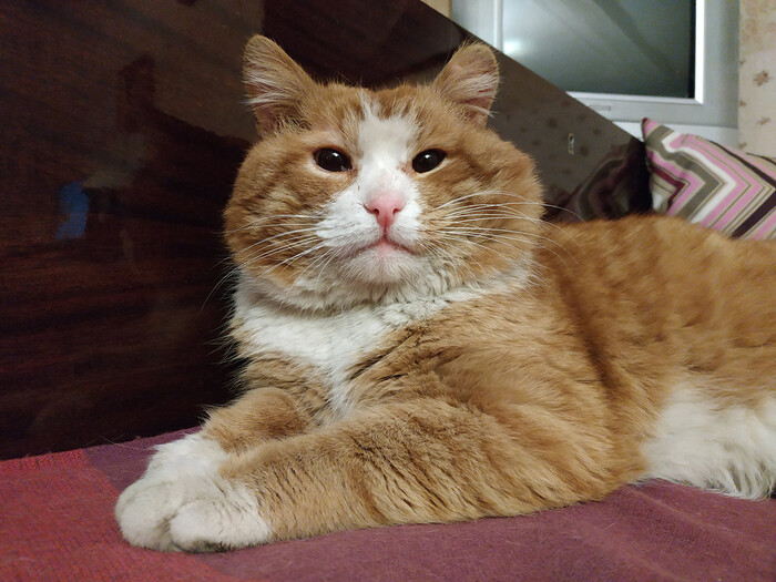 ������ ����������