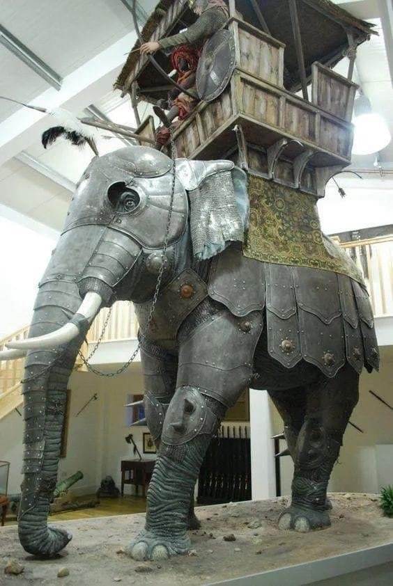 Reconstruction of a war elephant from Roman times - , Warrior, Fighting, India, The Roman Empire, Time travel, Elephants, Military, Story
