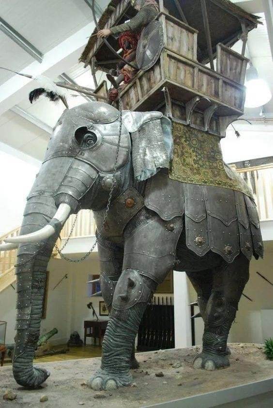 Reconstruction of a war elephant from Roman times - Story, Military, Elephants, Time travel, The Roman Empire, India, Fighting, Warrior, 