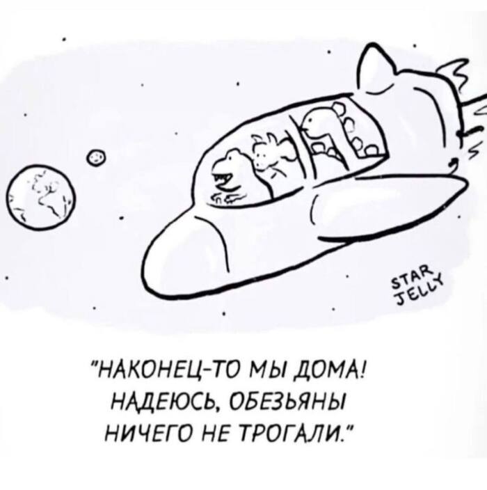 Возвращайся домой