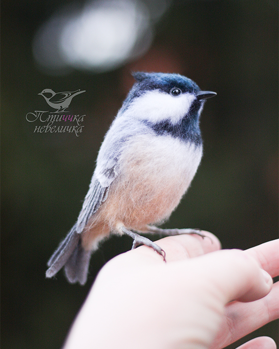 Moskovka. Dry felting - My, Dry felting, Needlework, Needlework without process, Handmade, Birds, Creation, Author's toy, Master, Art, Longpost, Moskovka, Tit, 