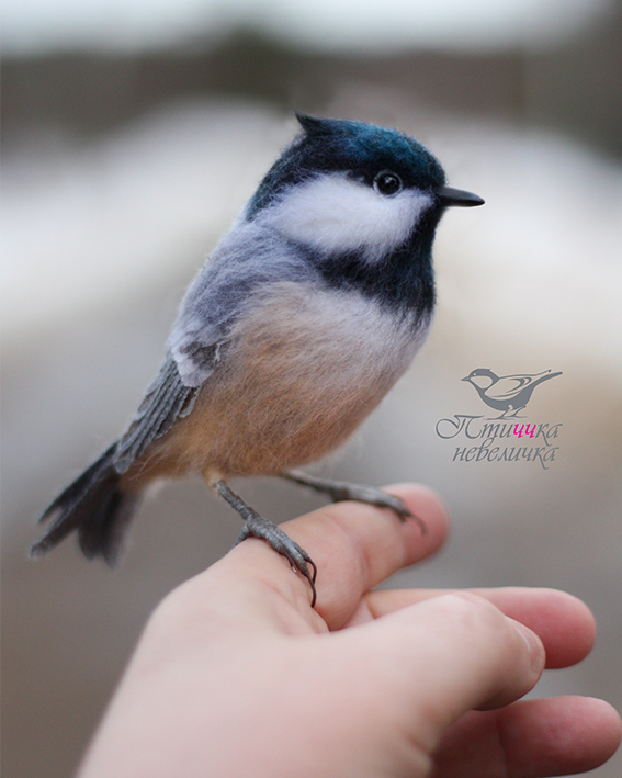 Moskovka. Dry felting - My, Dry felting, Needlework, Needlework without process, Handmade, Birds, Creation, Author's toy, Master, Art, Longpost, Moskovka, Tit, 