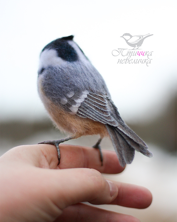 Moskovka. Dry felting - My, Dry felting, Needlework, Needlework without process, Handmade, Birds, Creation, Author's toy, Master, Art, Longpost, Moskovka, Tit, 