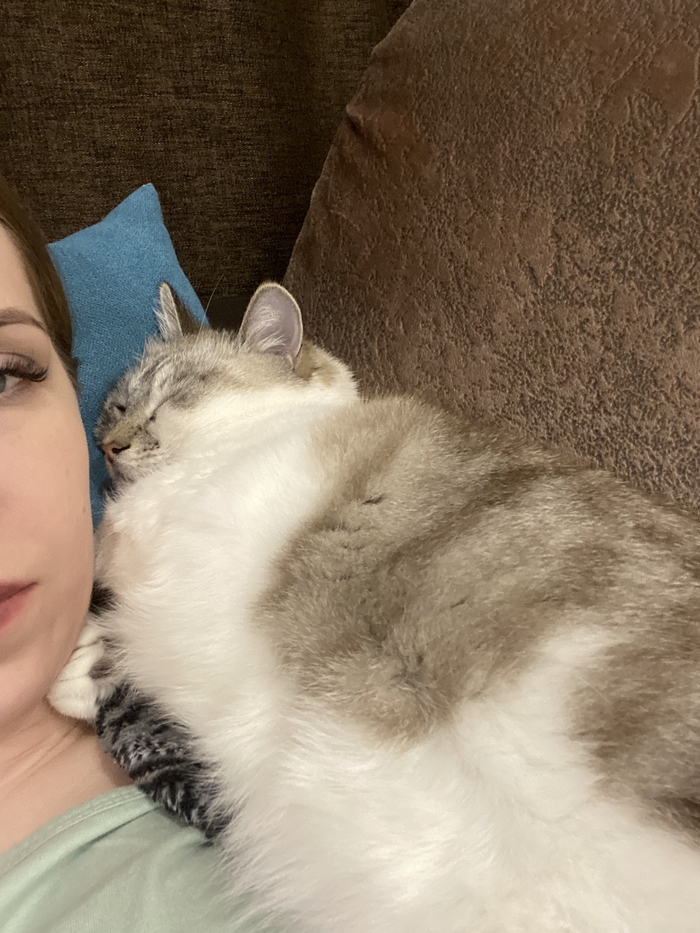 ������ ����� ����