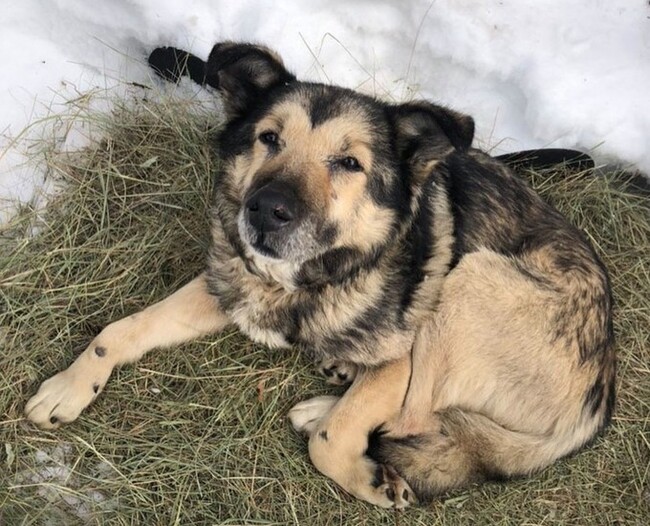 ������� ������������ ��� �� ������ ������