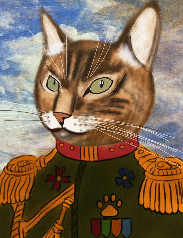 Cat portrait - cat, Art, Graphics tablet, Animals, Pets, Saint Petersburg, Milota, 