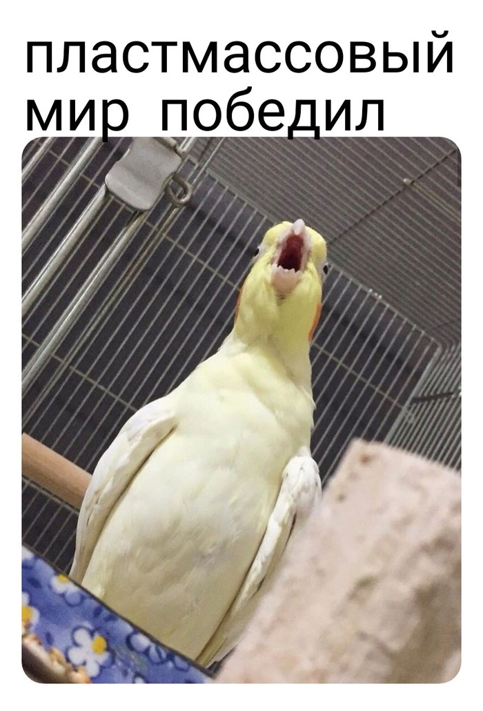    , , ,  ,   , 