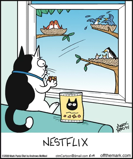 Netflix for cats - Caricature, cat, Nest, Netflix, , Offthemark
