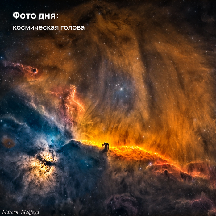 Фото дня: космическая голова