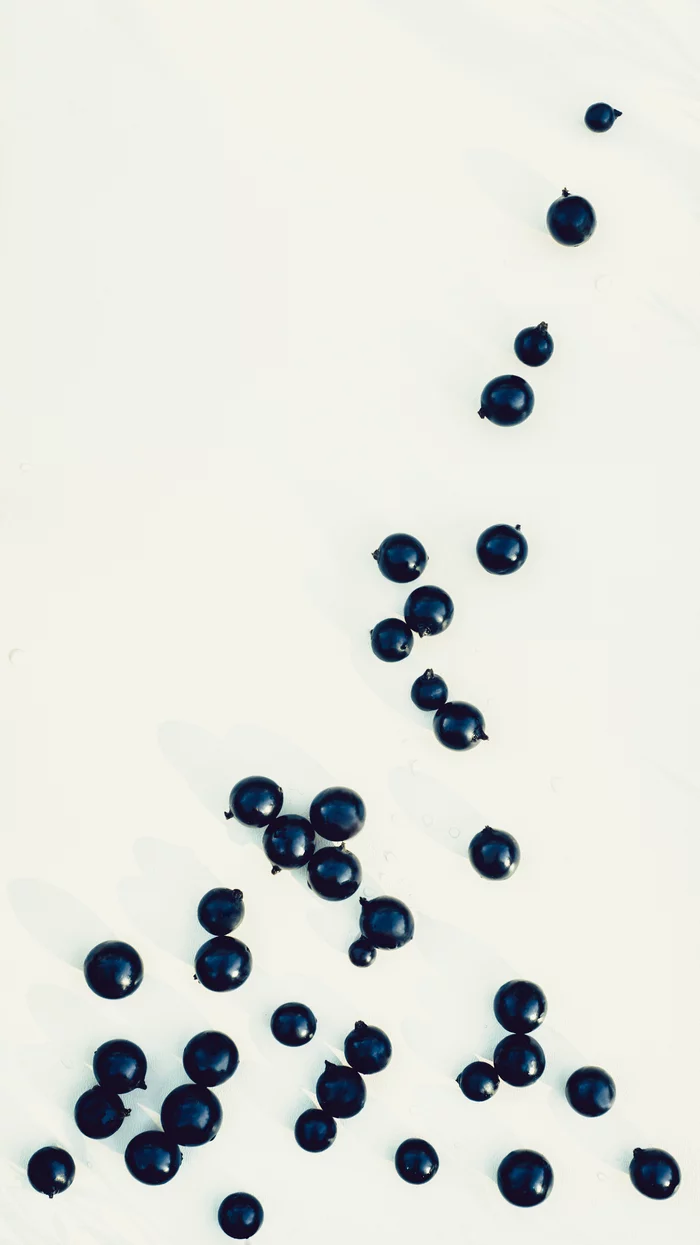 Drops of black currant - My, Minimalism, Blackcurrant, Berries, The photo, 