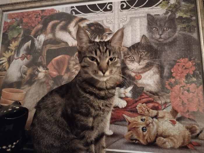 ������ �����..���� � ����� ������...