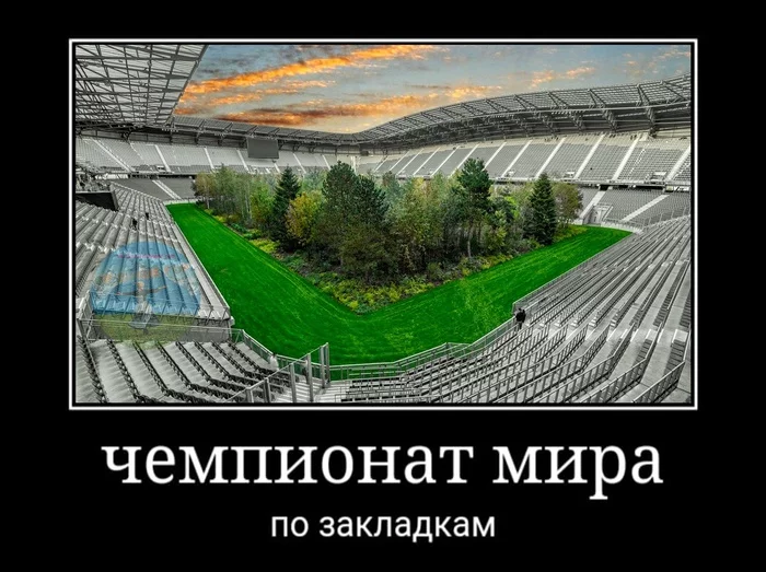 Typical St. Petersburg sport - Picture with text, Humor, Forest, Bookmarks, Stadium, World championship, Demotivator, 