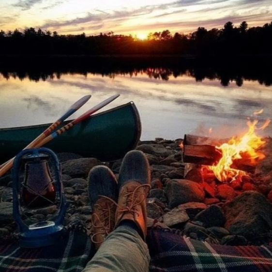 Гармония жизни