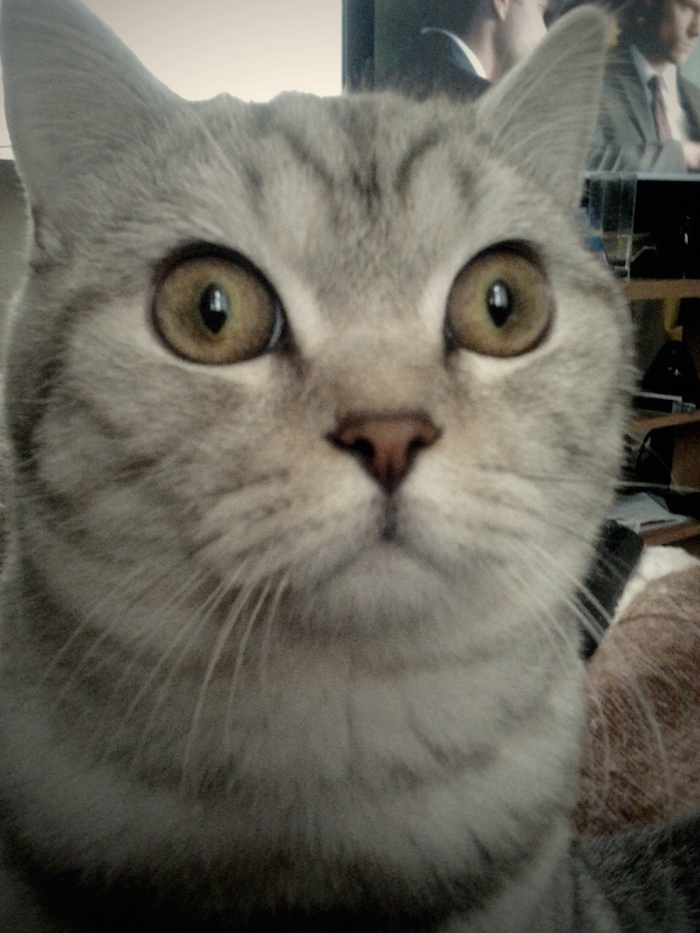 � ������ �� �����?