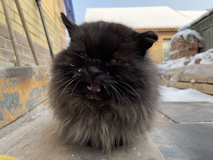 Старая боевая модель