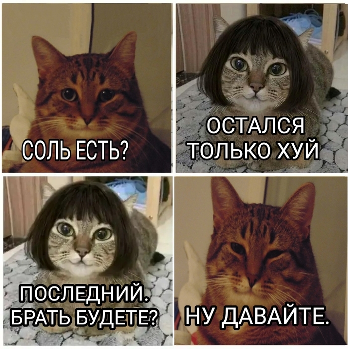 Без соли Комментарии на Пикабу, Скриншот, Картинка с текстом, Мат, Дефицит, Кот