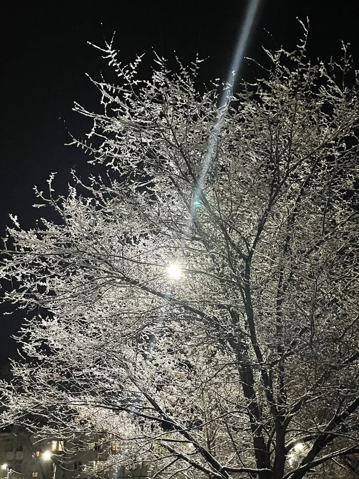 Just a photo of winter... - The photo, Winter, beauty, Lamp, Tree, Night, 