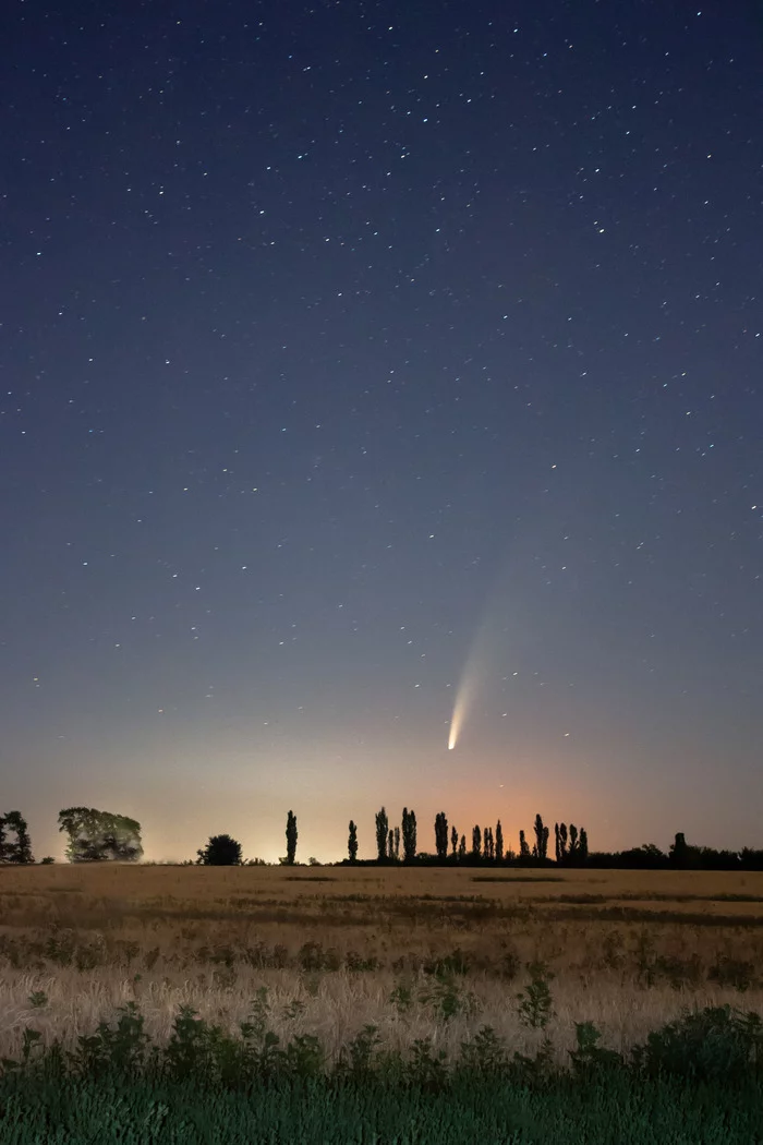 Comet C2020 F3 Neowise - My, Comet, Neowise, Sky, Stars, Astrophoto, 