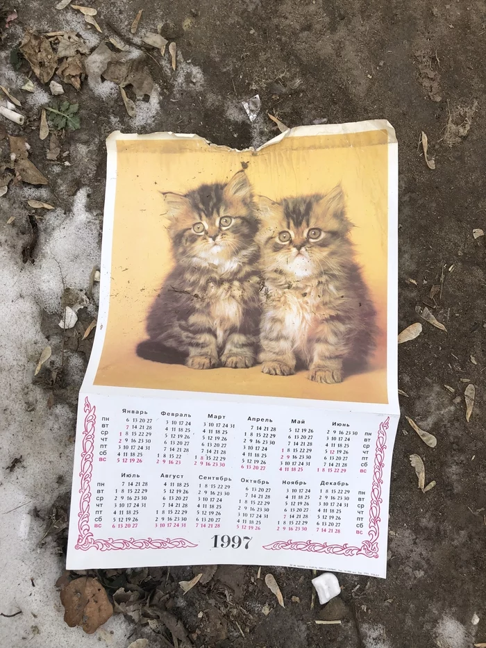 When I was afraid of the 98th year, but 2022 turned out to be worse - The calendar, 2022, cat, 