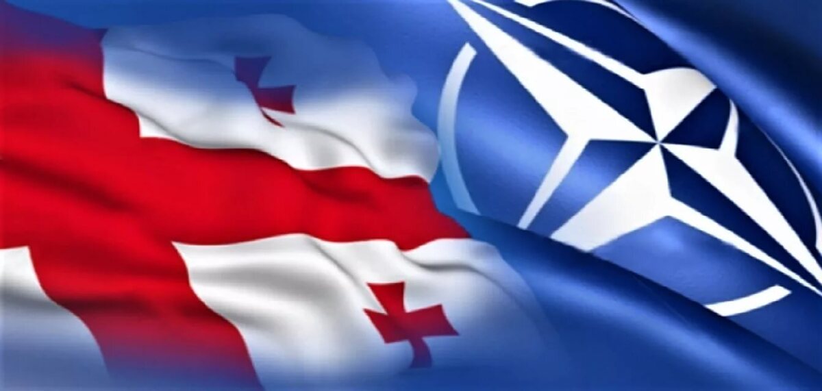 В нато ли грузия. Флаг НАТО Грузия. Грузия и НАТО. Грузия NATO И Евросоюз. Вступление Украины и Грузии в НАТО.