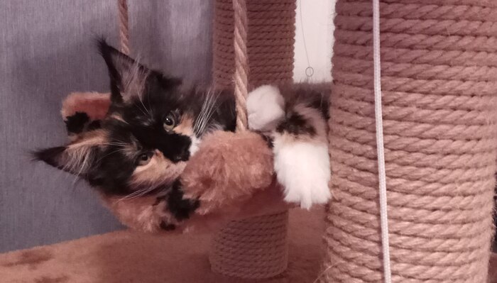 Ответ на пост «Когда мы были молодыми...»