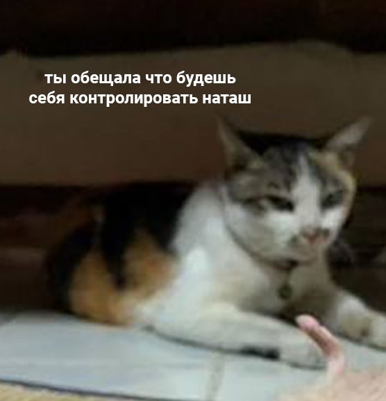 ��� ������, ������� � ������� ������