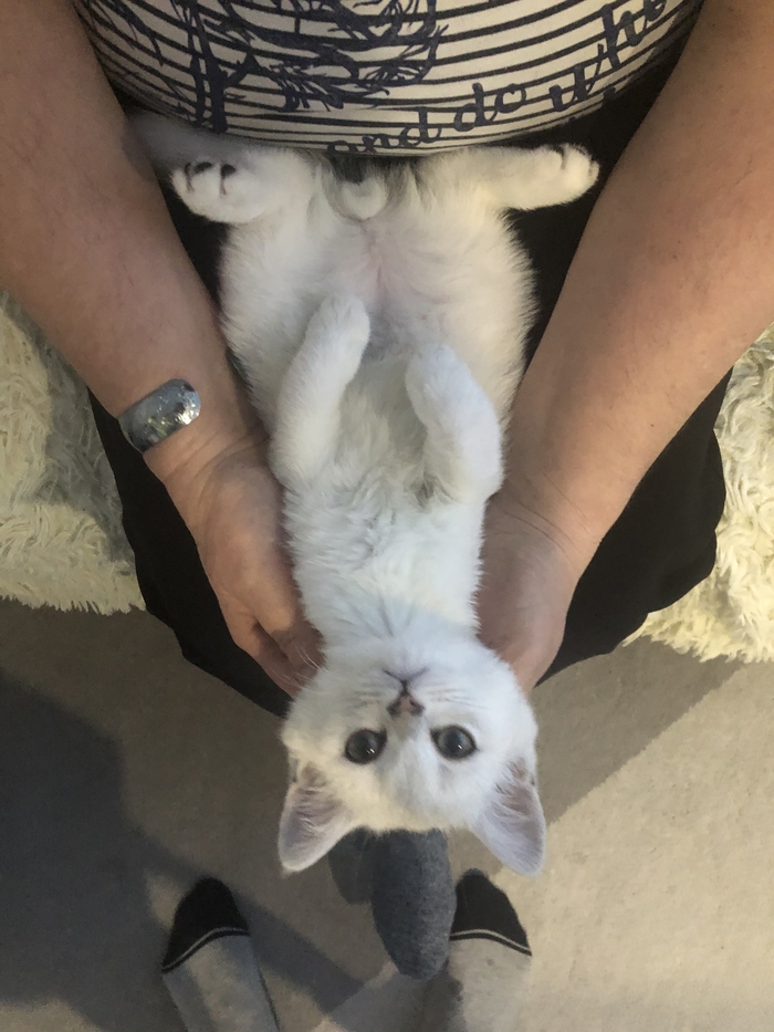 Когда мы были молодыми…