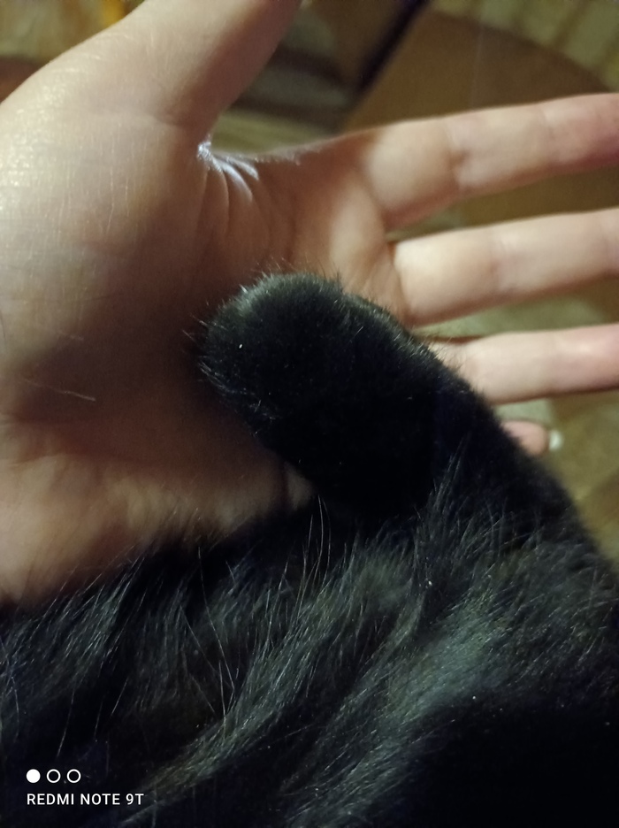 ����-����