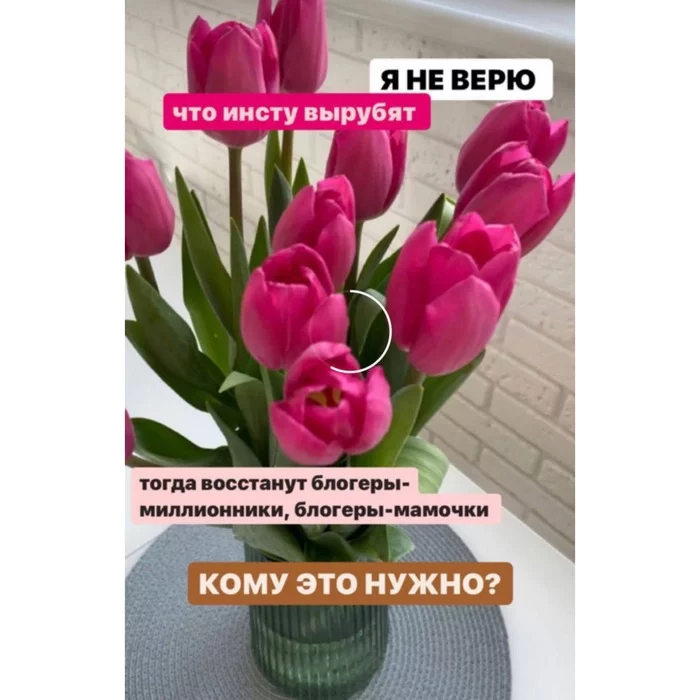 Bloggers – moms will shake the regime - Bloggers, Instagram, Roskomnadzor, Blocking, , Humor