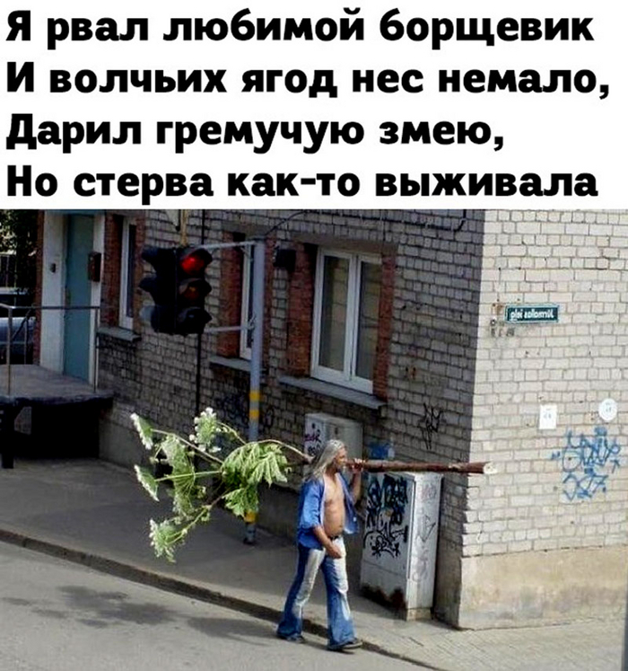 Наш ответ Чемберлену!