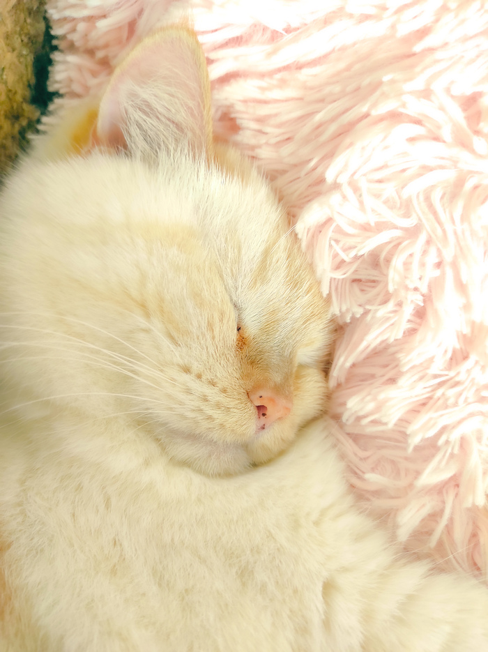 �������)))