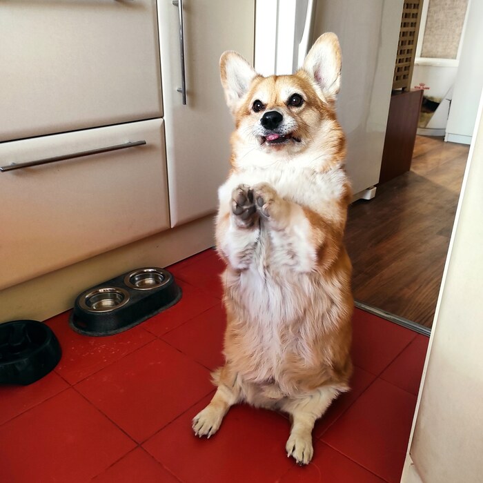 ������� �������