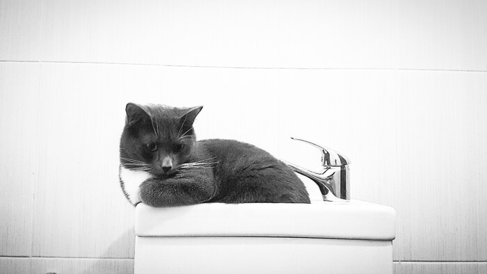 ������������)